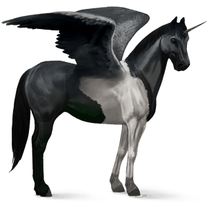 licorne de selle ailée paint horse pie noir tobiano