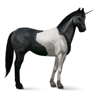 licorne de selle paint horse pie noir tobiano