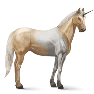 licorne de selle paint horse pie tobiano palomino