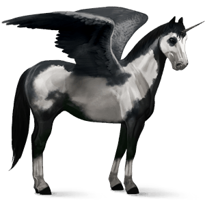 licorne de selle ailée marwari isabelle