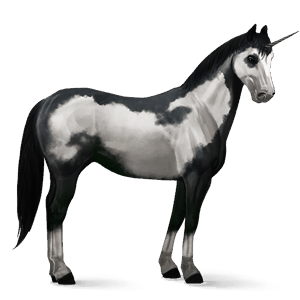 licorne de selle paint horse pie overo noir