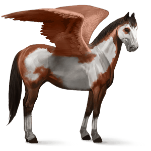 pégase de selle paint horse pie overo alezan brûlé