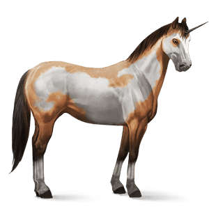 licorne de selle frison noir
