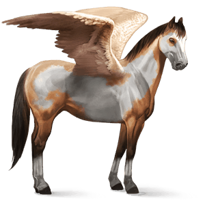 pégase de selle paint horse pie tobiano isabelle