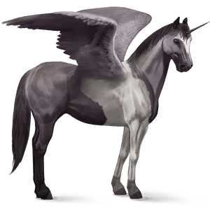 licorne de selle ailée paint horse pie tobiano gris souris