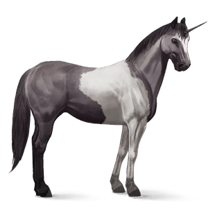 licorne de selle frison noir