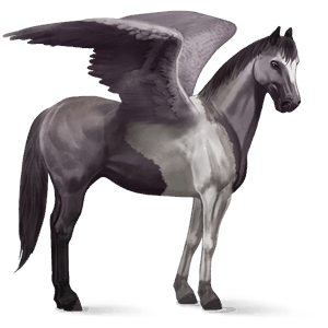 pégase de selle paint horse pie tobiano gris souris