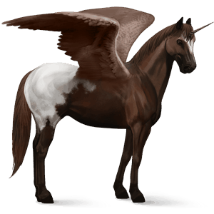 licorne de selle ailée frison noir
