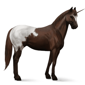 Âne licorne Âne commun blanc