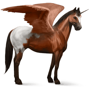 licorne de selle ailée appaloosa spotted alezan
