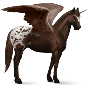 licorne de selle ailée paso péruvien bai cerise