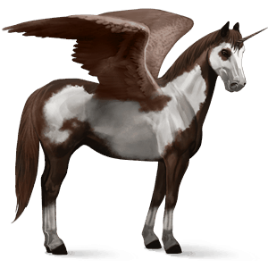 licorne de selle ailée paint horse pie overo bai brûlé