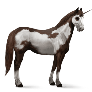 licorne de selle arabe alezan brûlé