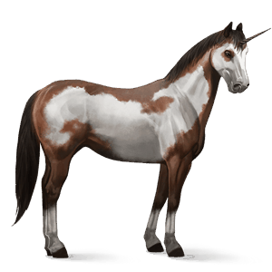 licorne de selle frison noir