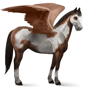 pégase de selle paint horse pie overo bai brûlé