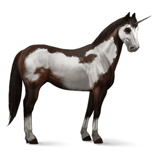 licorne de selle frison noir