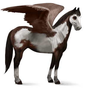 pégase de selle paint horse pie overo bai brûlé