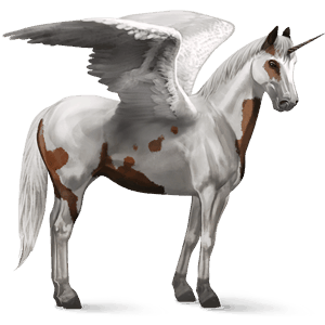 licorne de selle ailée paint horse pie tovero bai