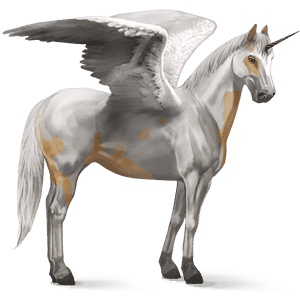 licorne de selle ailée paint horse pie tovero palomino
