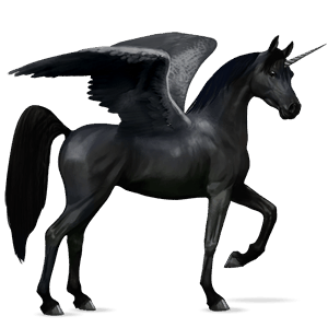 licorne de selle ailée frison noir