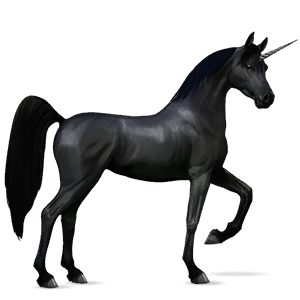 licorne de selle arabe alezan