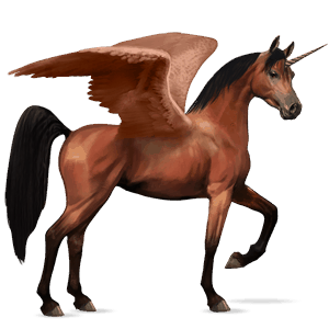 licorne de selle ailée arabe bai cerise