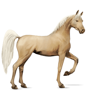 cheval de selle holstein alezan