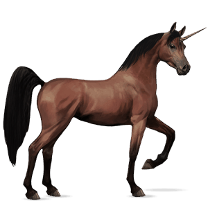 licorne de selle arabe alezan brûlé