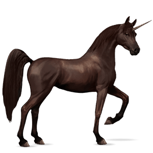 licorne de selle arabe alezan brûlé