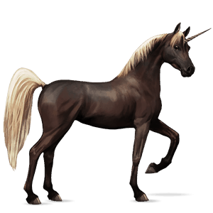 licorne de selle arabe noir