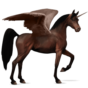 licorne de selle ailée arabe bai brûlé
