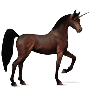 licorne de selle arabe bai brûlé