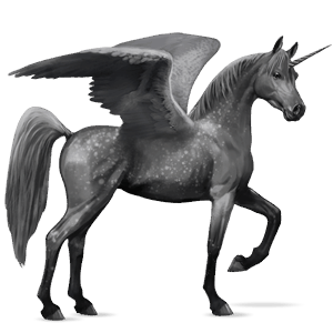 licorne de selle ailée arabe gris pommelé