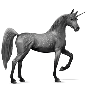 licorne de selle arabe gris pommelé