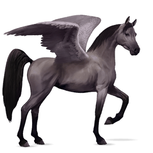 pégase de selle tennessee walker gris pommelé