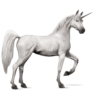 licorne de selle arabe gris clair
