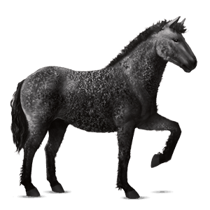 cheval de selle curly alezan brûlé