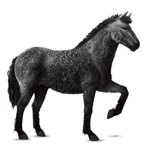 cheval de selle lusitanien noir