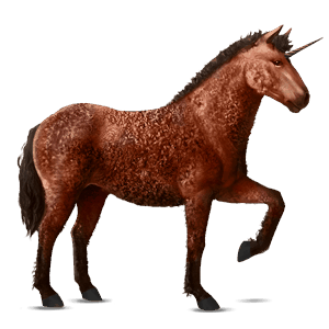 licorne de selle paso péruvien bai cerise