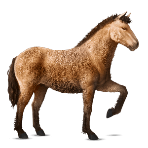 cheval de selle curly alezan