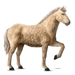 cheval de selle pure race espagnole palomino