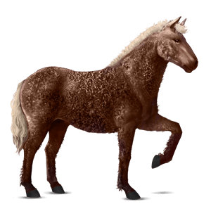cheval de selle oldenbourg gris pommelé