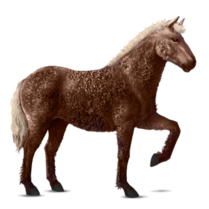 cheval de selle paso péruvien alezan