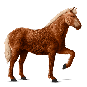 cheval de selle holstein alezan