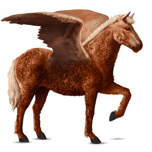 pégase de selle cheval canadien noir
