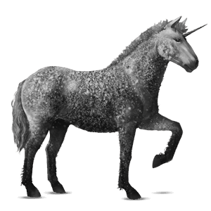 licorne de selle curly gris pommelé