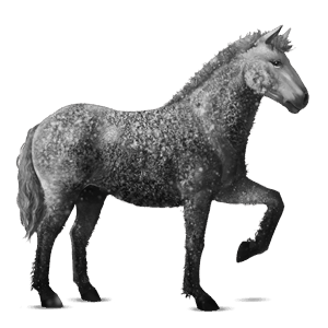 cheval de selle gris pommelé