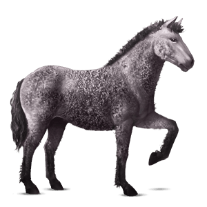 cheval de selle arabe bai
