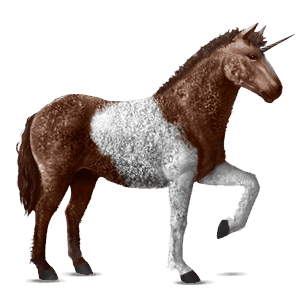 licorne de selle curly pie tobiano alezan brûlé