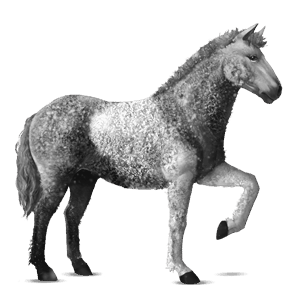 cheval de selle camargue gris clair